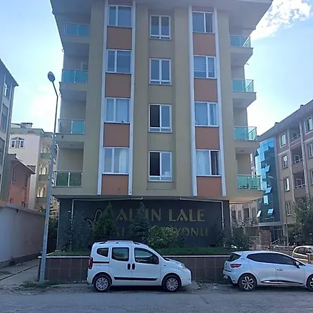 Altin Lale 2*